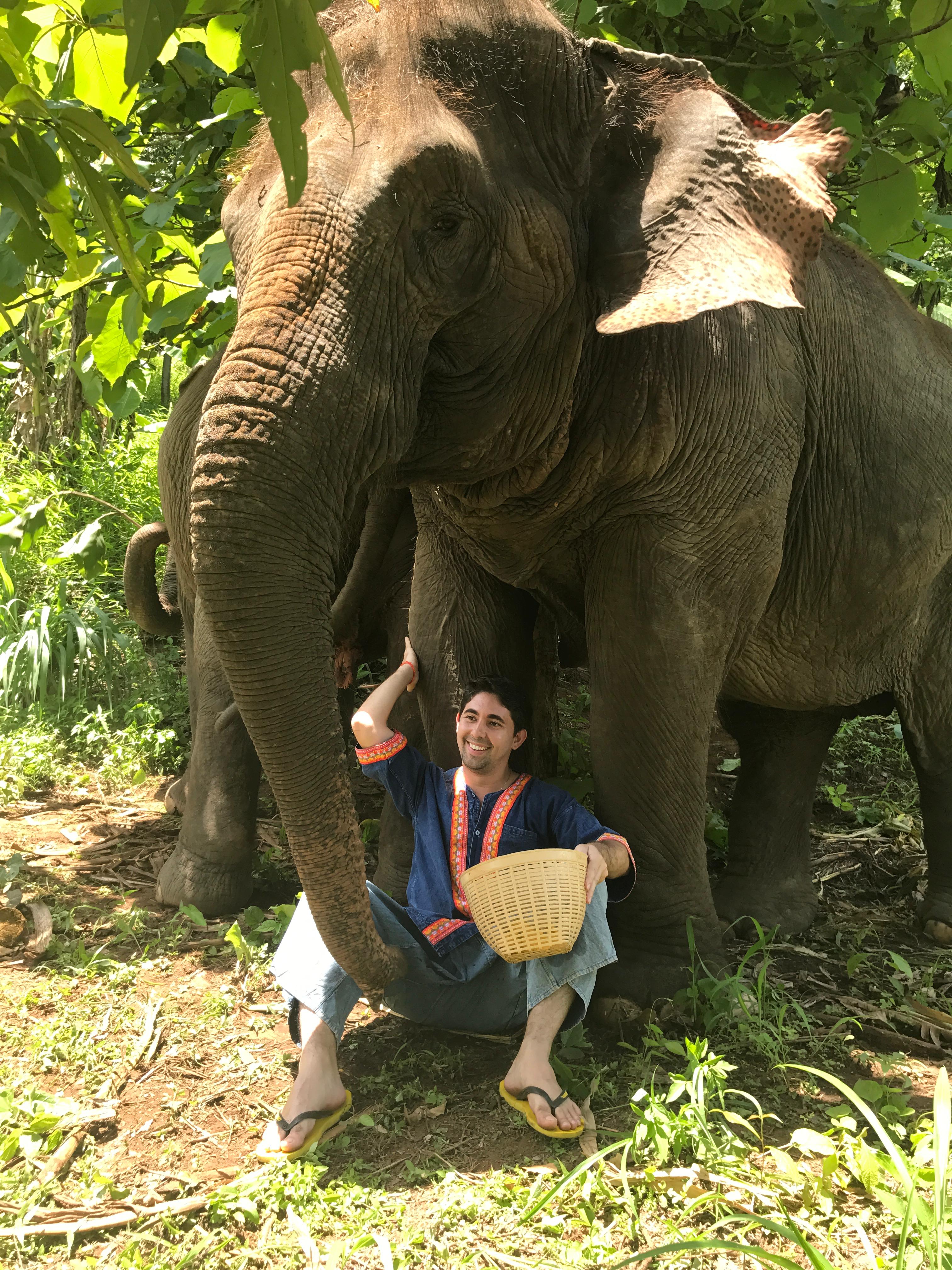 BruTrips ao lado de um elefante em meio à natureza